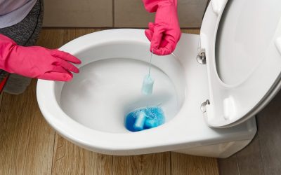 How To Unclog A Toilet Drain